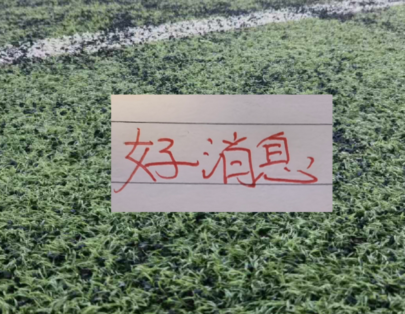 媒体人：三镇考察古斯塔沃